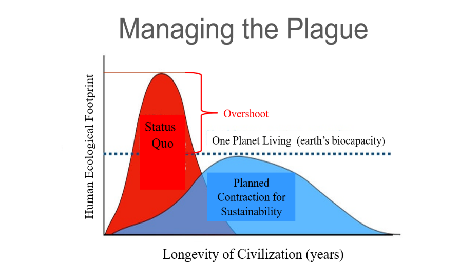 Rees-figure-2 -- as JPG
