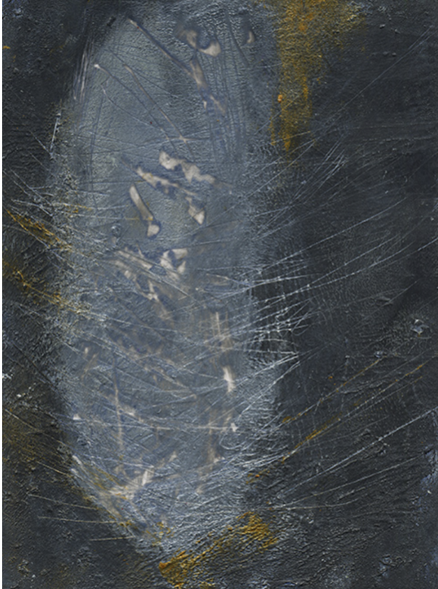 The Garden in the Dark